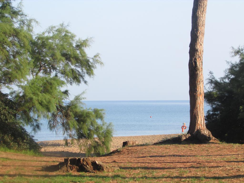 Azienda Agrituristica Allumiere Villa Campiglia Marittima Eksteriør billede