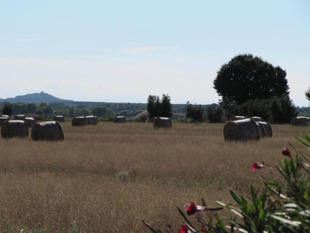 Azienda Agrituristica Allumiere Villa Campiglia Marittima Eksteriør billede