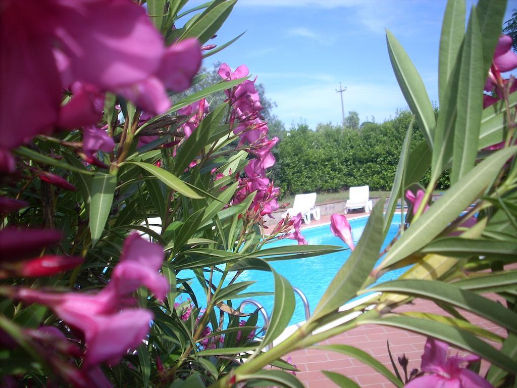Azienda Agrituristica Allumiere Villa Campiglia Marittima Eksteriør billede
