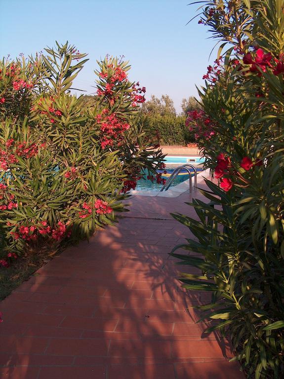 Azienda Agrituristica Allumiere Villa Campiglia Marittima Eksteriør billede
